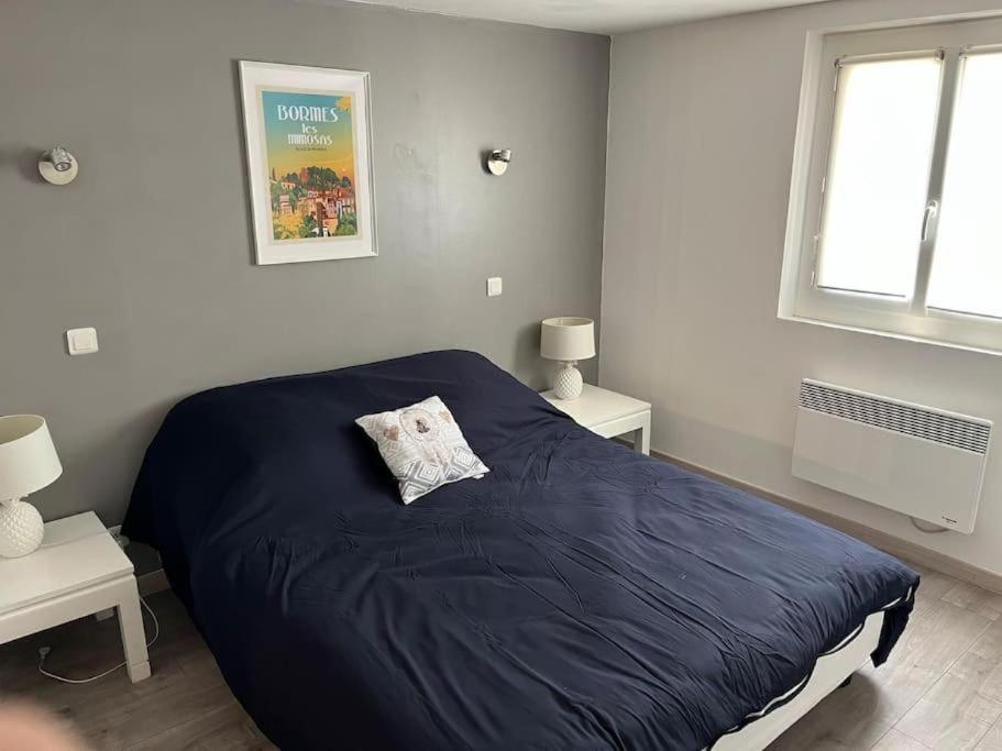 Bas De Villa 70M2 Independant Avec Espace Jacuzzi Prive Le Lavandou Extérieur photo